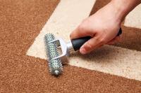 Elite Carpet Cleaning & Restoration image 3